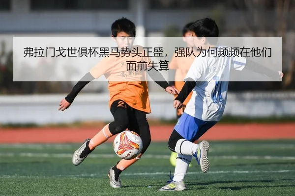 img_1783323464594_156_2_854.jpg